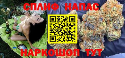 амф Дубна