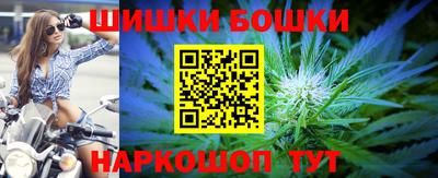 стафф Донской