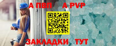 стафф Донской