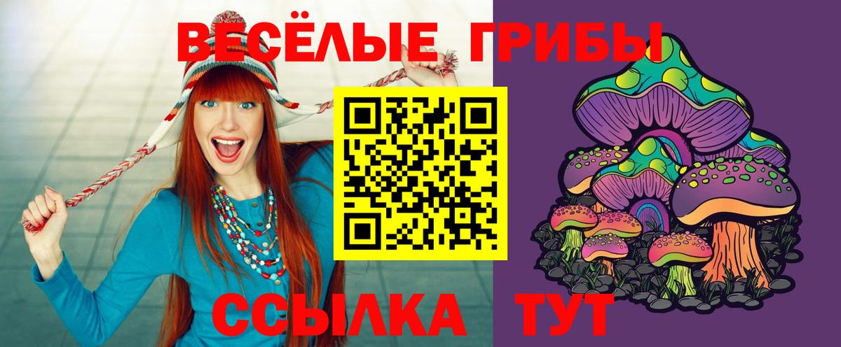 Псилоцибиновые грибы GOLDEN TEACHER Лесной