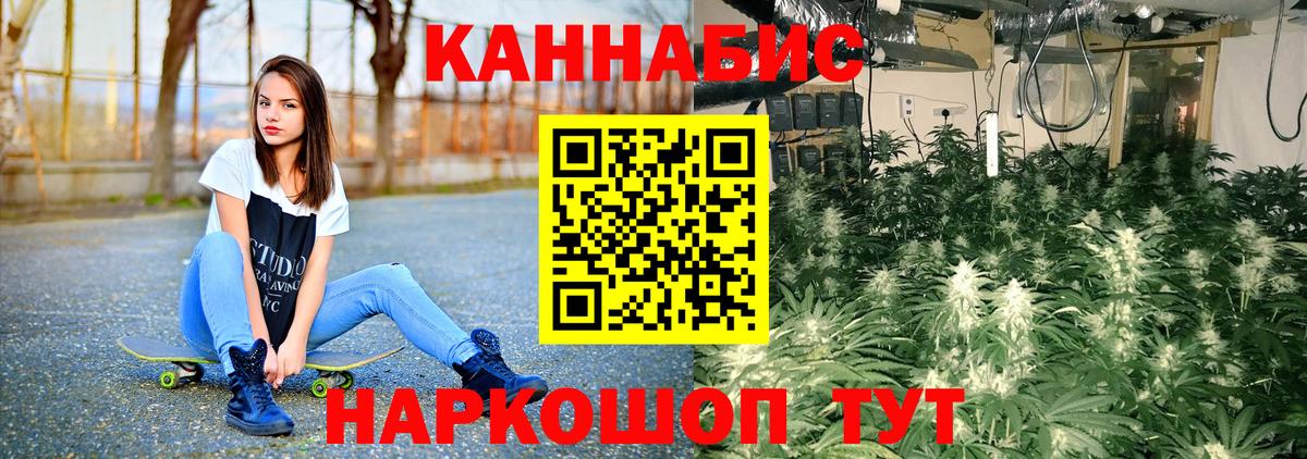 Конопля OG Kush Лесной