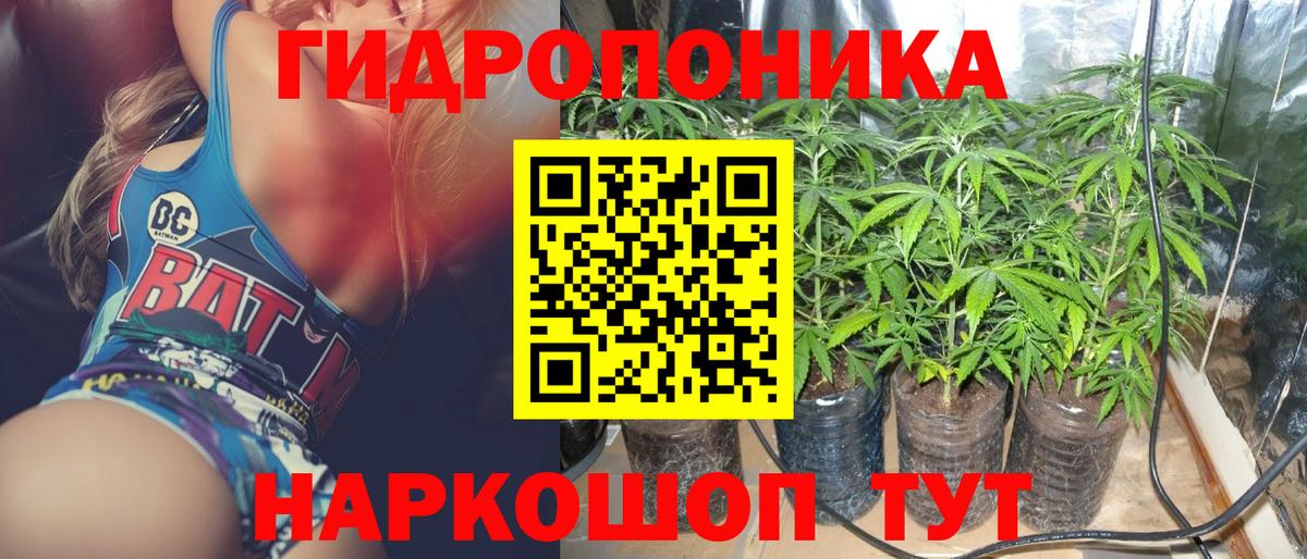 Марихуана марихуана  Бошки марихуана планчик  Бошки Шишки Ganja  Лесной  Вход с VPN 